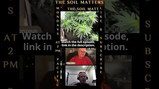 Impact Of Muncher Fertilizer On Cannabis Plants