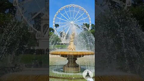 Mesmerizing Ferris Wheel 🎡 Calming Water Fountain ⛲ Golden Gate Park Relaxation 🏞️