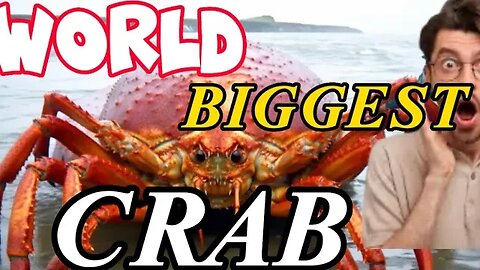 World Biggest Land Crab (Coconut Crab) Your Worst Nightmare/ Amelia Earhart Death @phacts