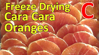 Freeze Drying Cara Cara Orange Slices