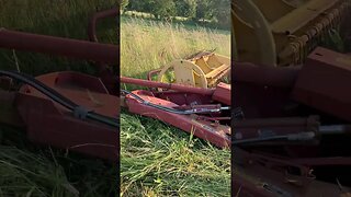 Our first hay harvest since moving to the country