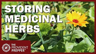 Prepper Pharmacy: Growing and Preserving Medicinal Herbs at Home