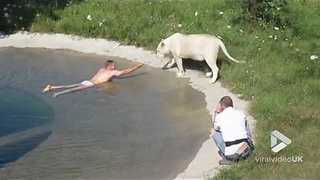 Viral Video UK: Bathing with the lions of Taigan