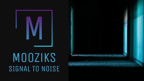 Signal To Noise - Mooziks