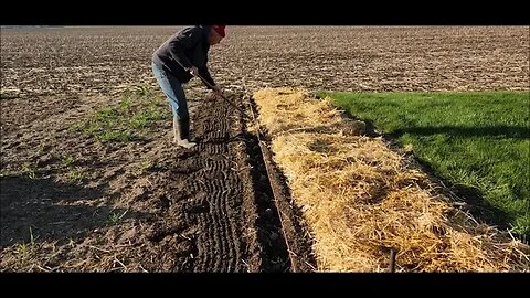 Stan plants potatoes "and I helped". April 11, 2023