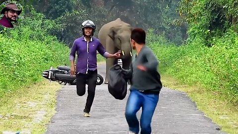 The Great Escape: Surviving A Massive Elephant Chasing Foot Rider