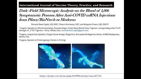 Ed Steele - Dark-Field Italian Paper (Blood Analysis of 1,006 Pfizer/Moderna Patients)