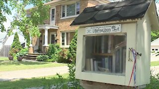 New little free libraries aim to offer representation for Native Americans