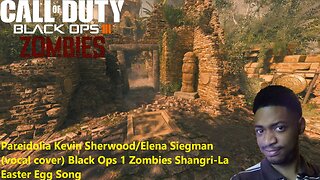 Paredolia - Kevin Sherwood/Elena Siegman (vocal cover) Black Ops 1 Zombies Shangri-La