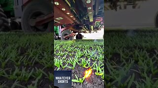 Tractor uses lasers to vaporise weeds in the fields #shorts #technology #farming #weeding