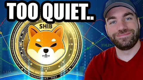 Shiba Inu Coin Devs SILENT! (Good Sign?) The Calm Before The Storm 🌩️