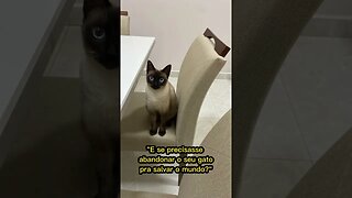 E se precisar abandonar o seu gato para salvar o mundo ? #shorts