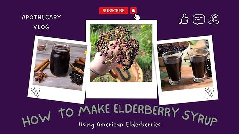 How to Make Elderberry Syrup | American vs. European Elderberries