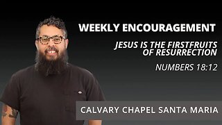 Weekly Encouragement | Numbers 18:12