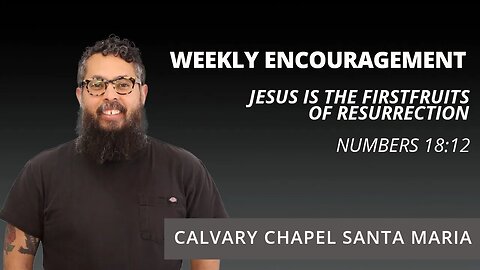 Weekly Encouragement | Numbers 18:12