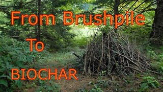 How To Turn A Brush Pile into Biochar