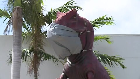 SNEAK PEEK: New dinosaur exhibit in West Palm Beach