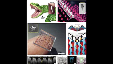 Human Implantable Quantum Dot Microneedle Vaccination System and Luciferase