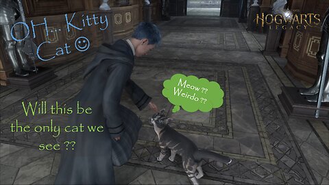 Are all these cats the only cats around?? P5 | Hogwarts Legacy (霍格華茲的傳承) PC