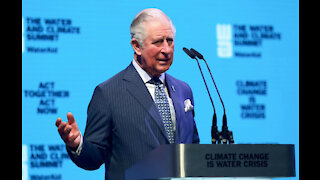 Prince Charles thinks it’s time to 'rethink and reset' for green business