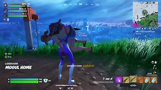 Fortnite TROLLING