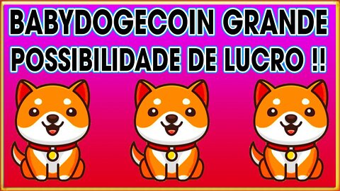 BABYDOGE GRANDE POSSIBILIDADE DE LUCRO !!