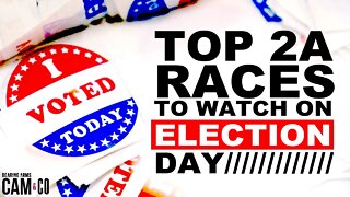 The Top 2A Races to Watch on Election Day