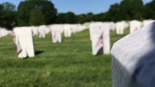 Purple Heart Honor Flight