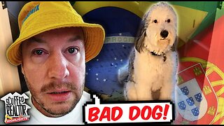 Nick Rochefort's MOST FUNNIEST Portuguese Dog Owner Moments