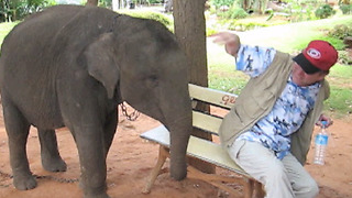 Baby Elephant In “Everything Is Mine” Phase