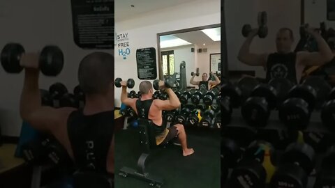 Dumbbell Seated Press Andre