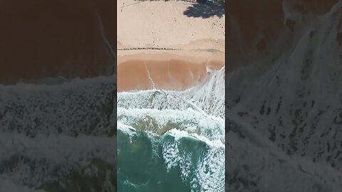 Vistas de #drones acima da #praia e da #floresta #natural 23 January 2023