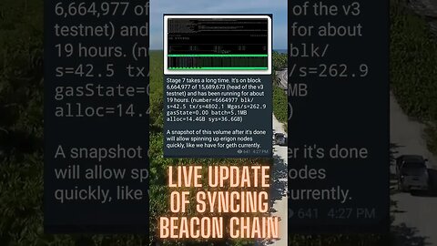 Live Update Of Syncing Beacon Chain From Richard Heart!