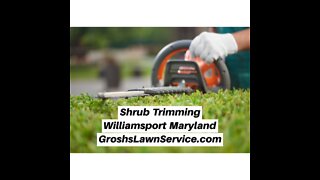 Shrub Trimming Williamsport Maryland Landscape The Best