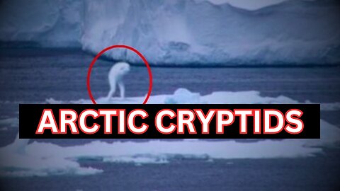 The Arctic Cryptid Explained