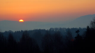 Birds singing - birds welcome a new day in the forest