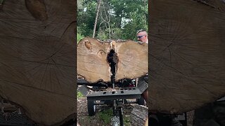 Busting Up A Big One #firewood #wood #breakdown