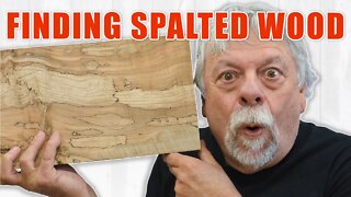 Finding Spalted Wood for Woodworking / Free Lumber
