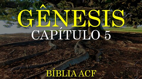 GÊNESIS CAPÍTULO 5 (BÍBLIA ACF) | BÍBLIA NARRADA