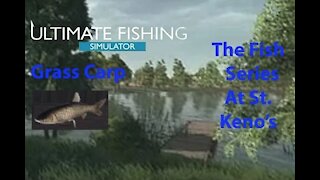 Ultimate Fishing Simulator: The Fish - St. Kenos - Grass Carp - [00015]