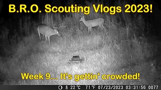 B.R.O. Scouting vlogs 2023! Week 9... It' Getting Crowded!!