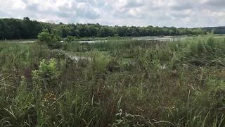 Johnson County issues disaster declaration after storms and flooding