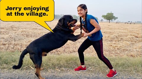 Anshu and Jerry have fun in the village||Jerry's daily routine