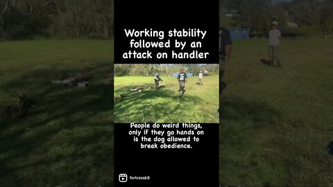 Stability in Bite Work