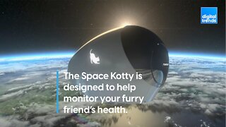 Space Kotty is a self-sanitizing UVC litter box that weighs your cats, too