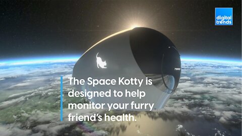 Space Kotty is a self-sanitizing UVC litter box that weighs your cats, too