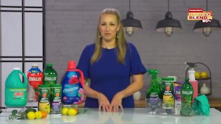 Spring Cleaning Tips | Morning Blend