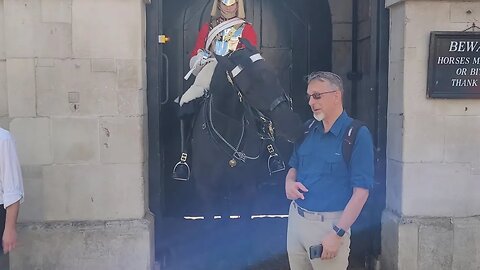 Arnie thetouristhater bites a tourist #horseguardsparade