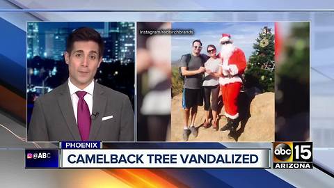 Camelback Christmas tree vandalized twice this week