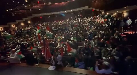 Significant number of people have congregated in Dearborn, Michigan, to rally support for Palestine